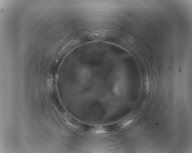 X0000057090231200509161637