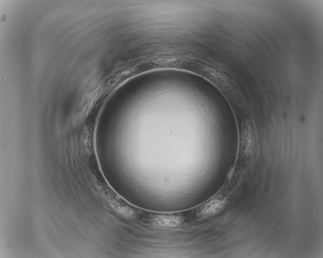 X0000057090234200509161637