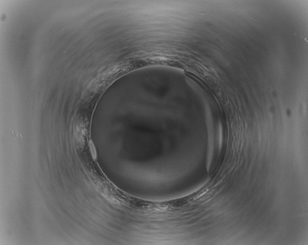 X0000057090235200509161637