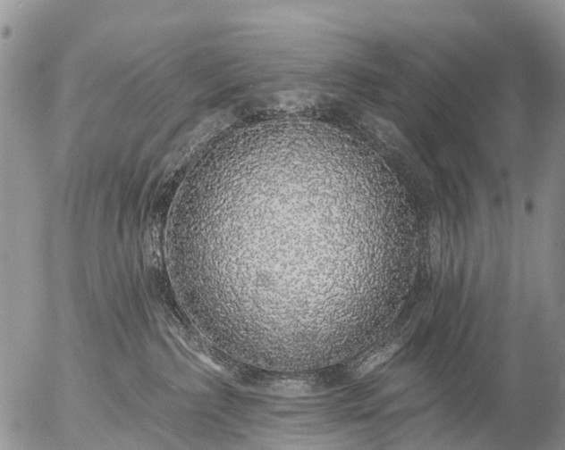 X0000057090236200509161637