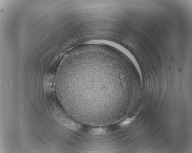 X0000057090237200509161637