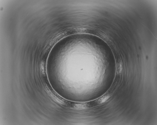 X0000057090238200509161637