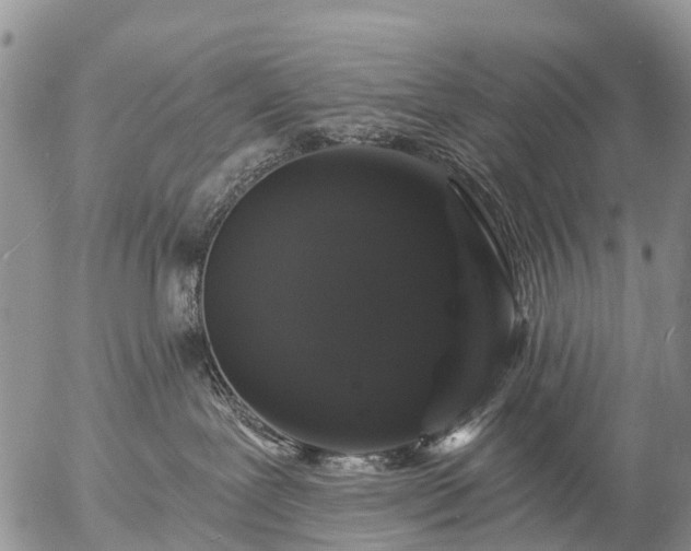 X0000057090239200509161637