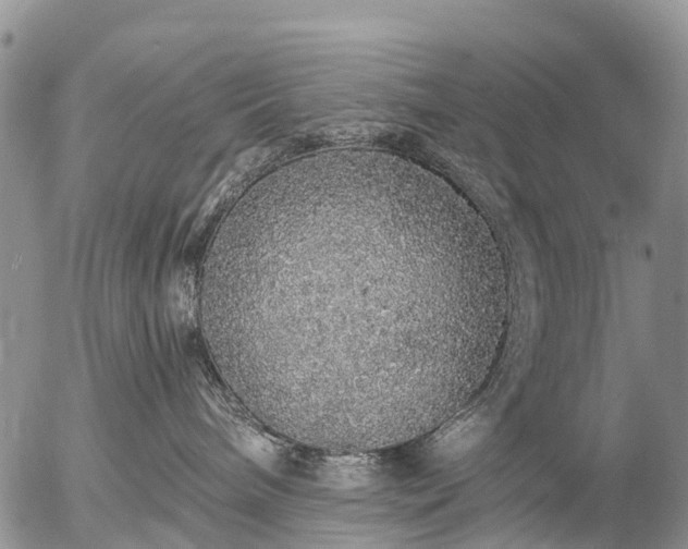 X0000057090240200509161637