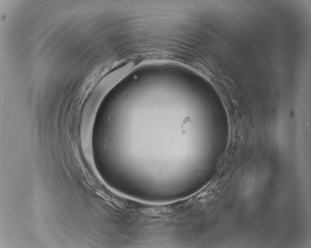 X0000057090241200509161636