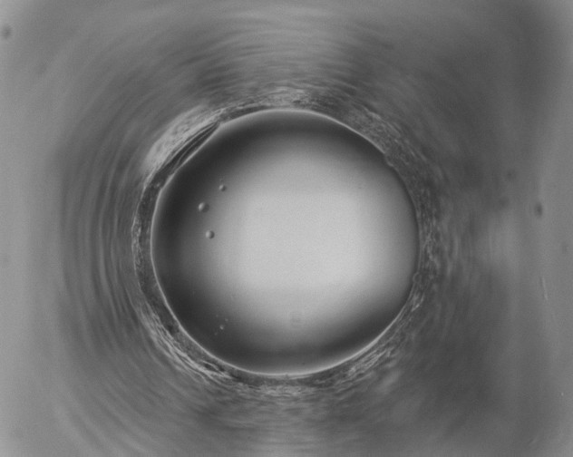 X0000057090242200509161636