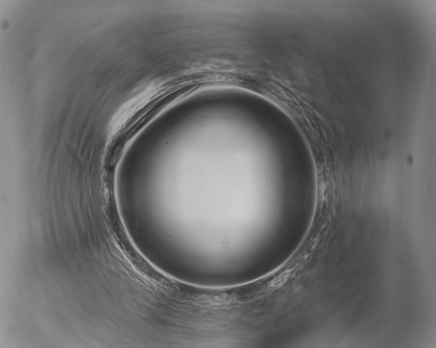 X0000057090245200509161636