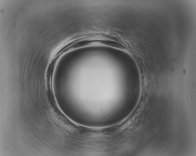 X0000057090246200509161636