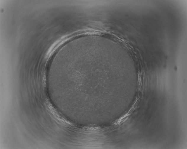 X0000057090247200509161636