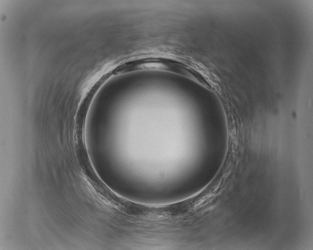 X0000057090248200509161636