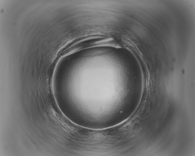 X0000057090249200509161636