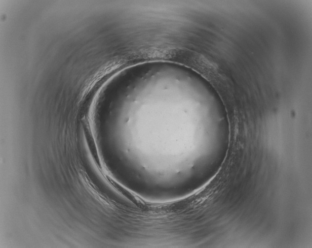 X0000057090250200509161636