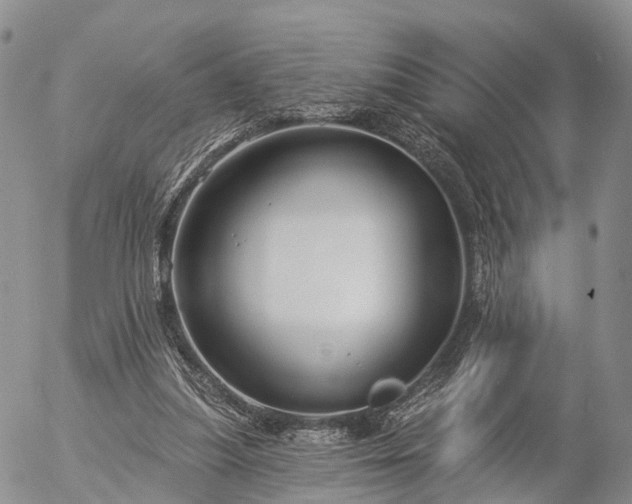 X0000057090251200509161636