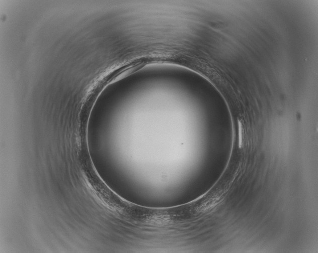 X0000057090252200509161636