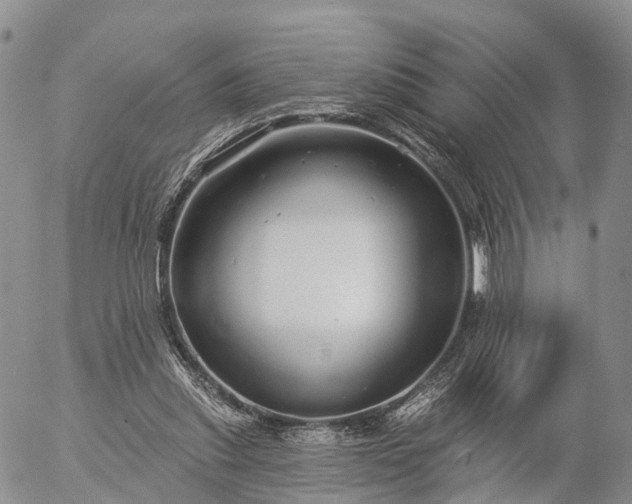 X0000057090253200509161636