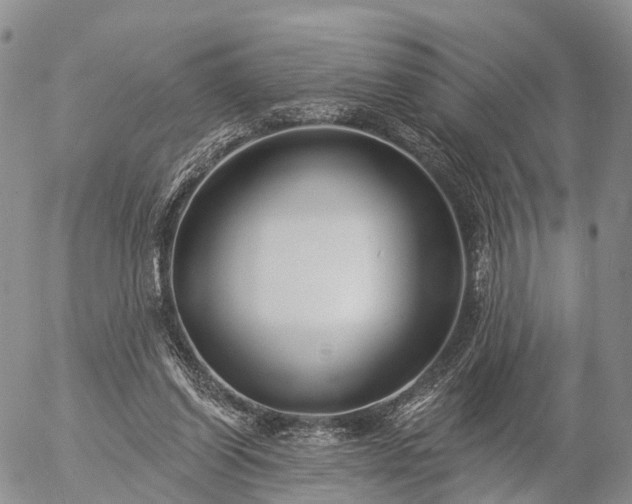 X0000057090254200509161636