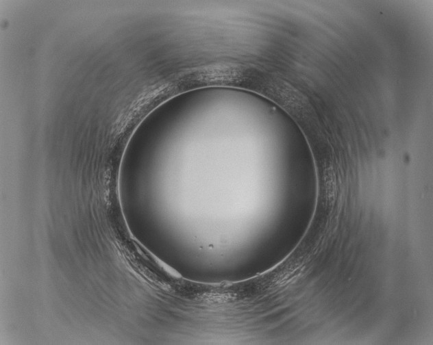 X0000057090255200509161636