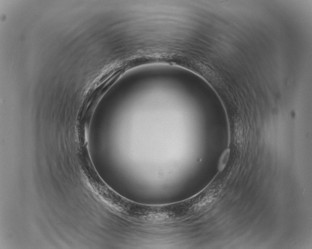 X0000057090256200509161636