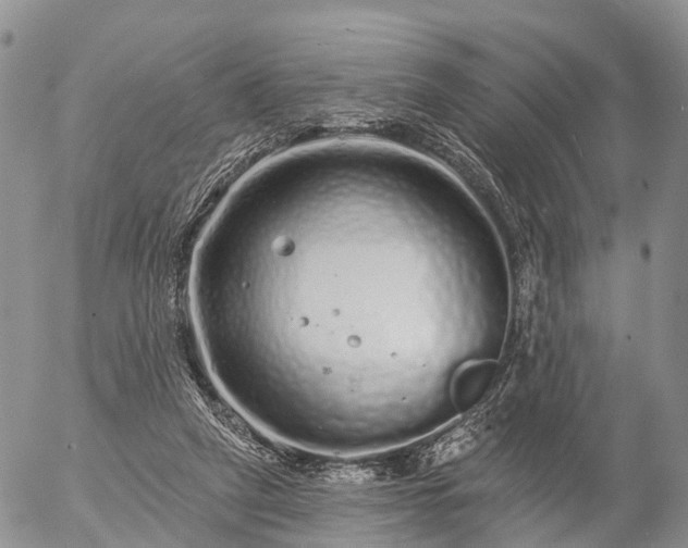 X0000057090257200509161637