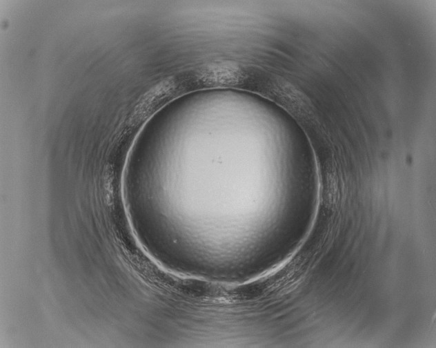 X0000057090259200509161637