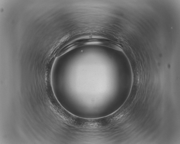 X0000057090260200509161637