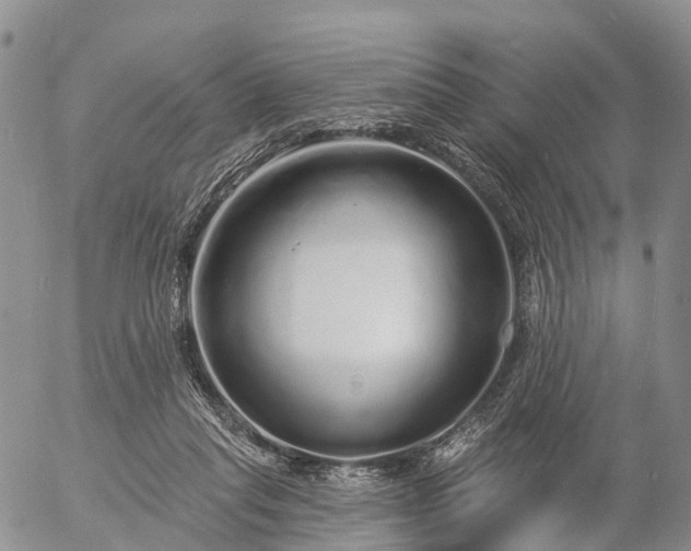 X0000057090261200509161637