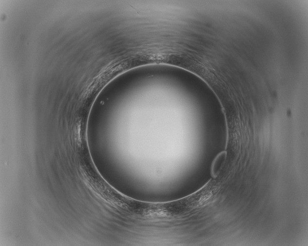 X0000057090262200509161637