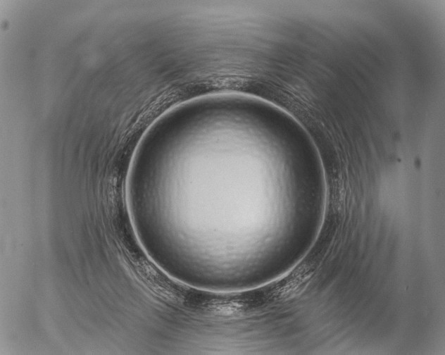 X0000057090263200509161637