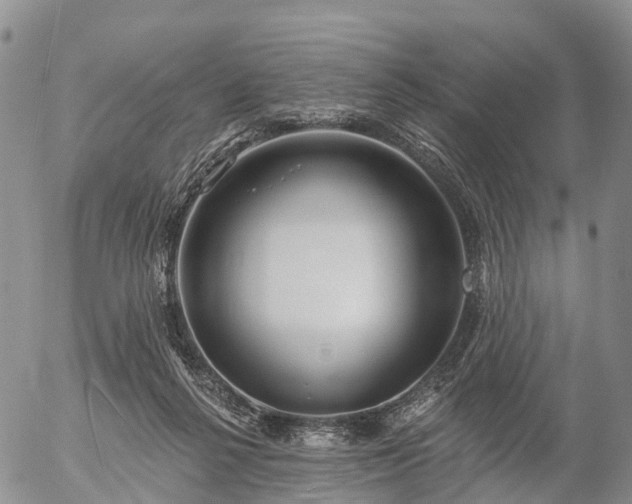 X0000057090264200509161637