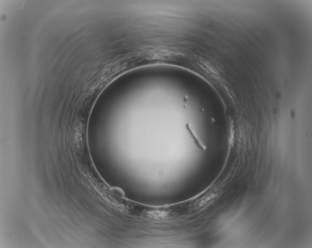 X0000057090265200509161637