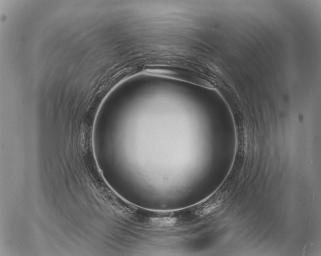 X0000057090266200509161637