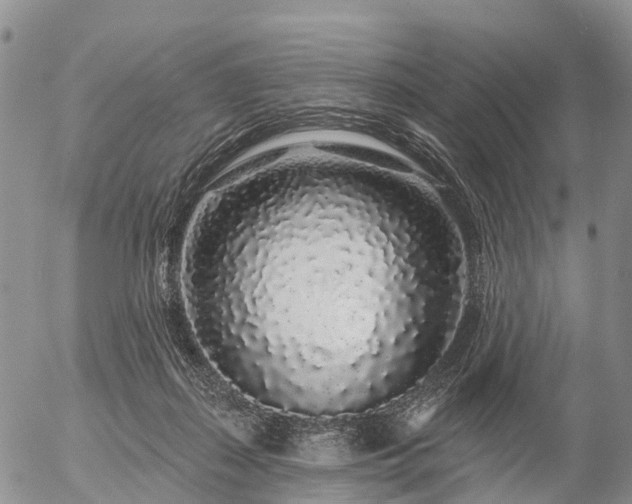 X0000057090267200509161637