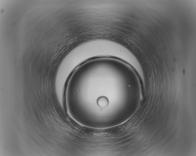 X0000057090268200509161637