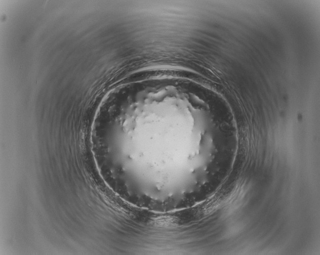 X0000057090269200509161637