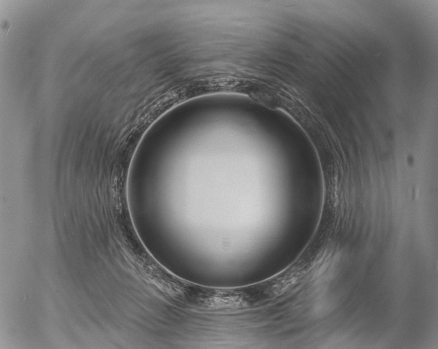 X0000057090270200509161637