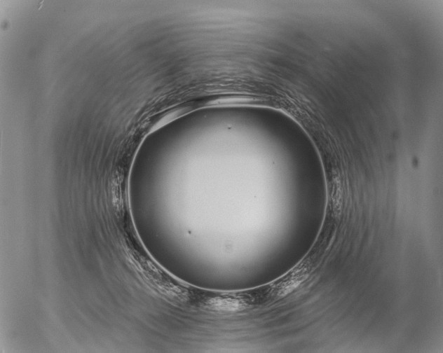 X0000057090272200509161637