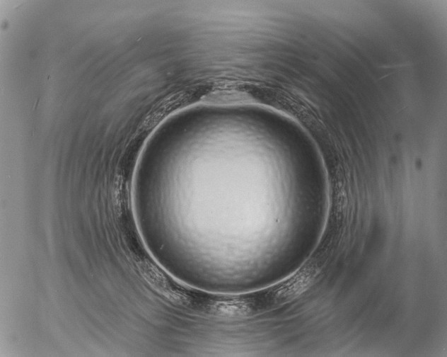 X0000057090275200509161637