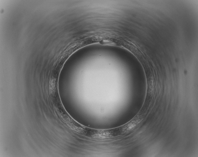 X0000057090278200509161637