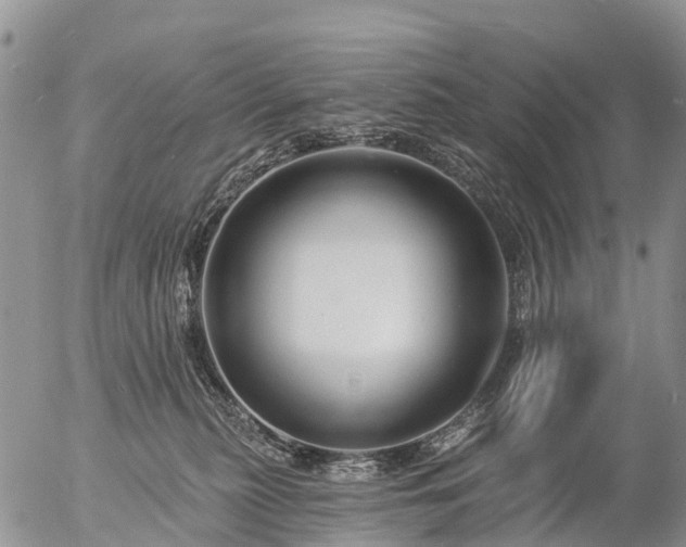 X0000057090279200509161637