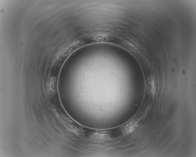 X0000057090280200509161637