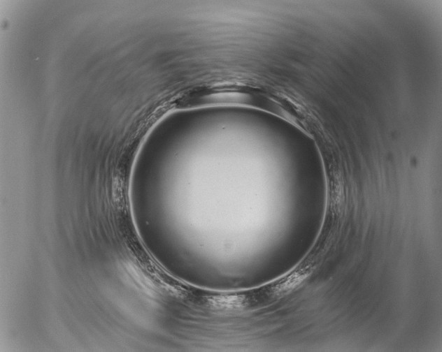 X0000057090281200509161637