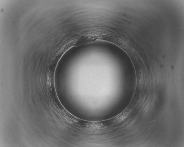 X0000057090282200509161637