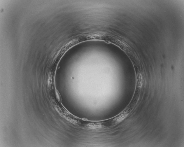 X0000057090284200509161637