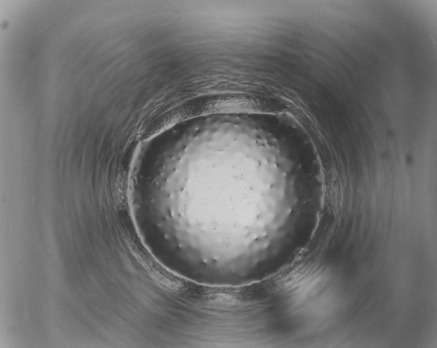 X0000057090285200509161637