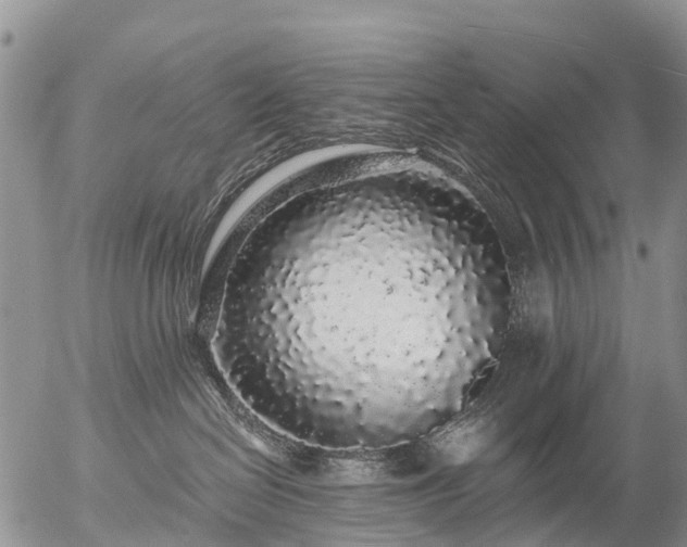 X0000057090286200509161637