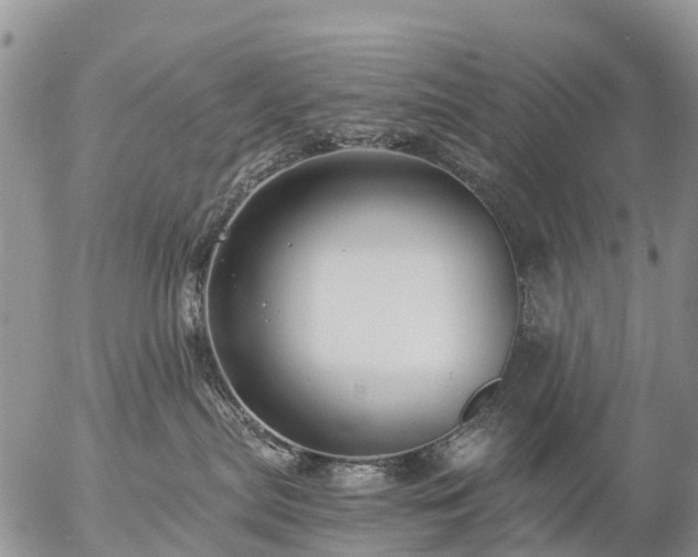 X0000057090287200509161637