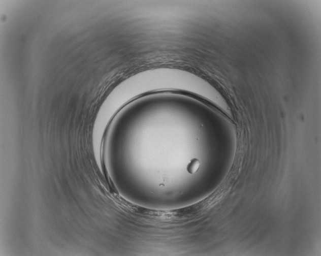 X0000057090288200509161637