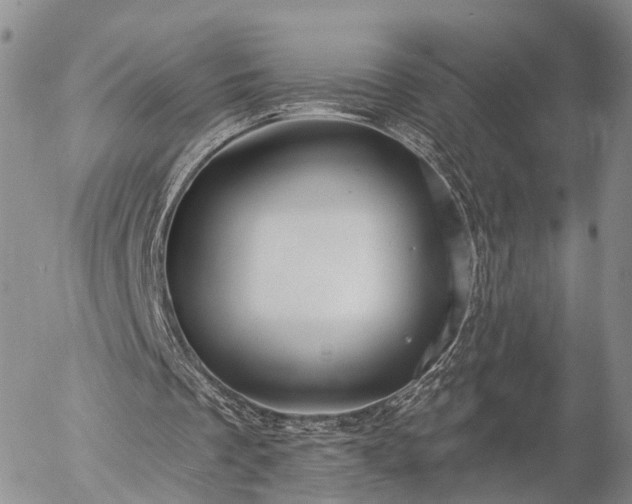 X0000057090289200509161636