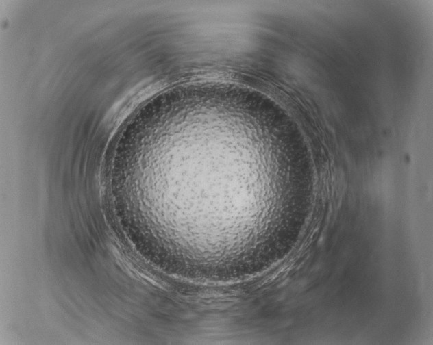 X0000057090290200509161636