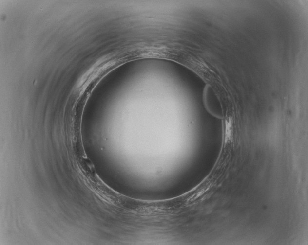 X0000057090291200509161636